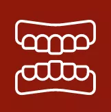 all-on-4 dental implant icon
